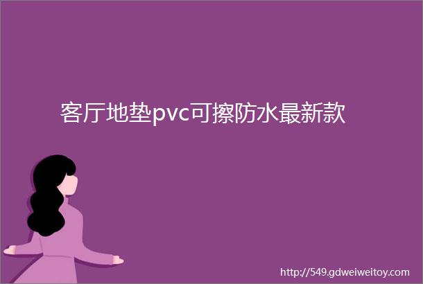 客厅地垫pvc可擦防水最新款